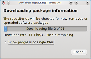 Synaptic Downloading Package Information.png