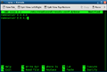 Thumbnail for version as of 11:19, 11 October 2024